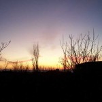 Picture 009 Picture 009