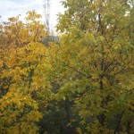 Picture 014 Picture 014