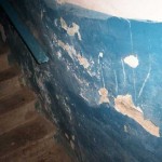 Picture 017_1 Picture 017_1