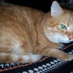 Picture 142 Picture 142